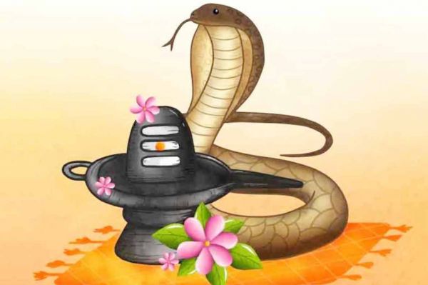 नाग पंचमी पर कैसे करें नाग देव की पूजा, जानें आसान उपाय
