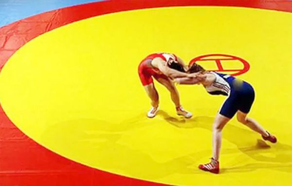 खेल मंत्रालय ने भारतीय ओलंपिक संघ से कुश्ती संस्था को चलाने पैनल बनाने को कहा