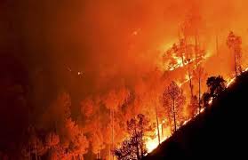 अमेरिका के दो राज्‍यों में भड़की जंगल की आग , 14 हजार से ज्‍यादाअधिकारियों को निकाले गए